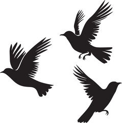 set of silhouettes of birds