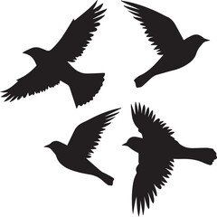 silhouettes of birds