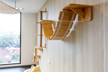 Cat play area.  Sitting area with benches