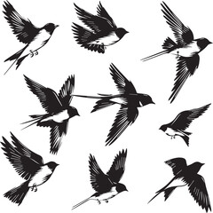 set of silhouettes of birds