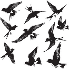 Obraz premium set of birds