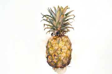 Minimalistic watercolor of a Pineapple on a white background, cute and comical.