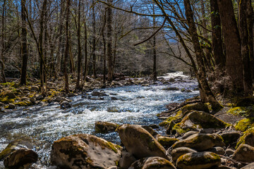 Beautiful mountain stream in a mountain forest on a sunny spring day, with boulders and trees on bank of the fast flowing water of the river.