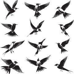 set of birds