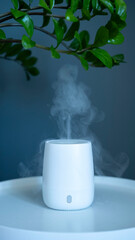 Aromatherapy diffuser for the room stands on the table.
White mini air humidifier for home with essential oil on a dark background close up