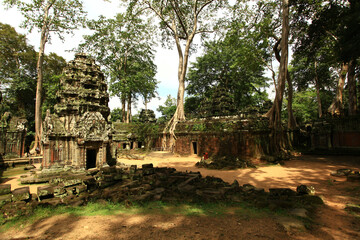Panorama of ancient stone door and tree roots at Ta Prohm temple in Siem Reap Cambodia