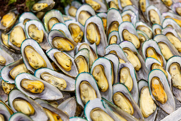 The opened mussels on the ice