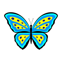 Butterfly. Color vector illustration in flat style. PNG with transparent background.