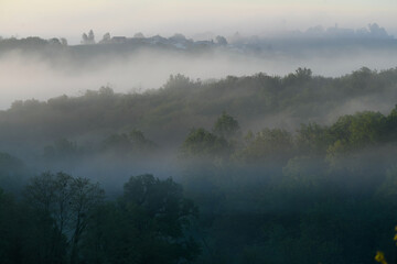 Aerial view of Bordeaux vineyard at sunrise spring under fog, Rions, Gironde, France. High quality...