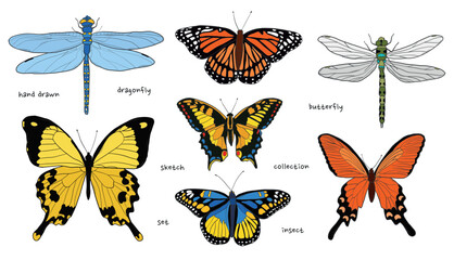 Butterflies and dragonflies hand drawn collection for stickers, prints, cards, posters, clip art, decor, wallpaper, etc. EPS 10
