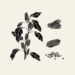 Flat vector sesame plant illustration