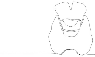 Thyroid gland one line continuous. Line art thyroid gland. Hand drawn vector art.