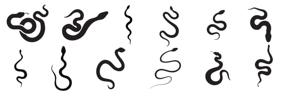Collection of snake silhouettes isolated. Silhouette of snakes. Hand drawn vector art.