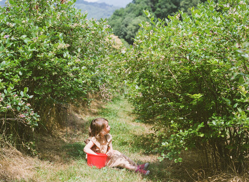 Sitting with Blueberries