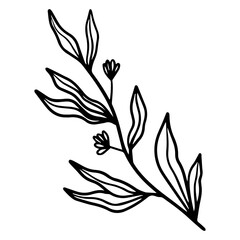 hand drawn leaves and flower organic botanical floral element