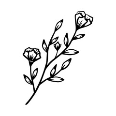 hand drawn leaves and flower organic botanical floral element