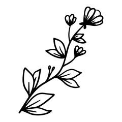hand drawn leaves and flower organic botanical floral element