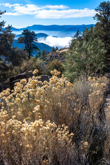 Beautiful mountain scenery on the background of clouds, layers of mountains on the horizon, Sierra Nevada Mountains, California, USA