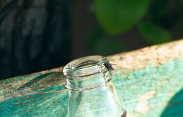 Close-up of a fly sitting on the neck of a glass bottle