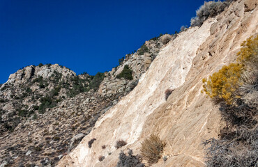 Conifers and other drought-resistant plants grow on the clay and stone rocks of the mountain at the pass in the Sierra Nevada Mountains, California, USA