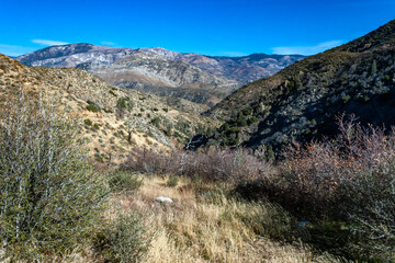 Mountain valley covered with shrub and woody vegetation in the Sierra Nevada mountains, USA