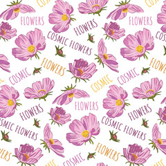 Pink cosmic flowers blooming on a white background. Floral seamless pattern with pink flowers. Vector background for fabric, wallpaper, decoration, textile, wrapping paper.