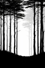 Monochrome View of Trees in Forest