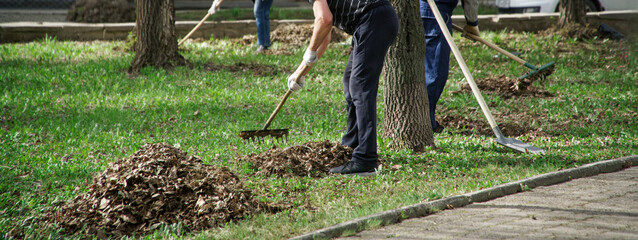 People rake and clean up dry leaves in a spring park. Garbage collection - Saturday cleanup day. Municipal improvement. Communal services. Photo. Without a face. Web banner