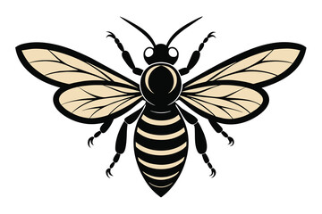 Honey bee in engraving style vector design