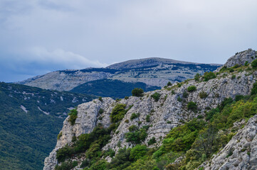 Naklejka premium Escragnolles, a village in foothills of the Alps above Grasse, stretches across hillsides below Route Napoléon, facing the Forêt de Briasq. Forest populated with white and. holm oak on shady hillsides