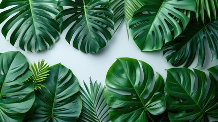 tropical green leaves frame border with some space in the middle