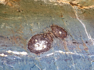 Bronze Age Rock Engravings Carvings or Petroglyphs of Bulls in the Vallée des Merveilles (Valley of marble) and Vallon de Fontanalba, Mercantour National Park, France, Europe. Anthropomorphic figures