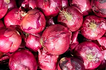 Vegetable background of freshly harvested, natural, farmed, red onions with beautiful texture and color. Concept of healthy food, organic nutrition, local farm vegetables and immune boosting products