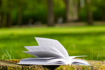 an open book on a tree stump in the park, sunny day, greenery in the background