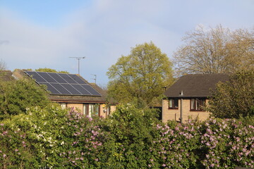 Houses nestled among flowery bushes