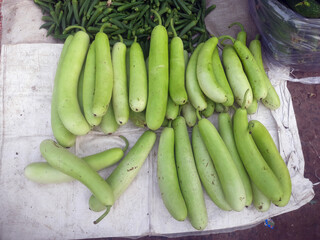 Bottle gourd vegetables local market in India, Gujarat