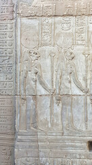 Wall relief of Lion Goddess Sekhmet in two forms  at the Temple of Sobek and Haroeris built in 2nd...