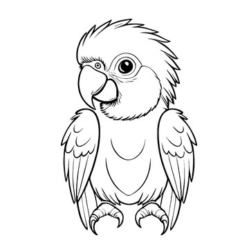 recommend clip art: Cute Baby Macaw Animal Outline, Macaw Vector Illustration