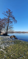 See im Winter, Bauernsee, Brandenburg