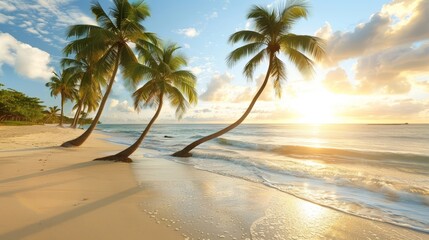   Two palm trees atop a beach, adjacent to a body of water during sunset