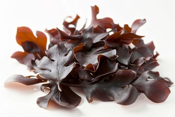 Dulse seaweed (Palmaria palmata)