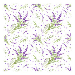 Vector drawing, lavender pattern with lettering, isolated on white for wallpaper, textile, design packaging, wedding card, natural medicine