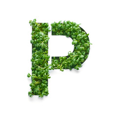 Capital letter P is created from young green arugula sprouts on a white background.