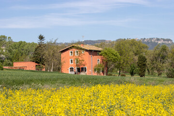 Casa en campo de canola con arboles y un cielo azul