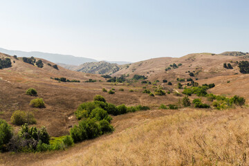 Panoramic view over the valley of the Bane Canyon in the Chino Hills State Park, California