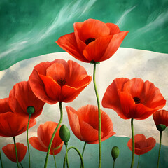 red poppy flowers on background with italy libera