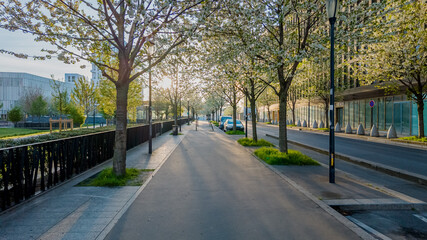 Serene spring morning on a tree-lined urban street with blooming flowers, symbolizing renewal and Earth Day, perfect for seasonal concepts and city planning themes