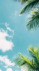 Palm Sunday concept: green palm tree leaves on natural sky