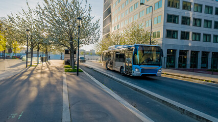 Obraz premium Early morning sunlight casts shadows on an urban street lined with blossoming trees, with a city bus in motion, ideal for public transportation and city life themes
