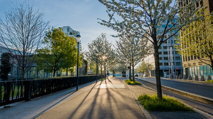 Urban spring morning scene with flowering trees and long shadows on an empty pedestrian pathway, depicting concepts of renewal and Earth Day